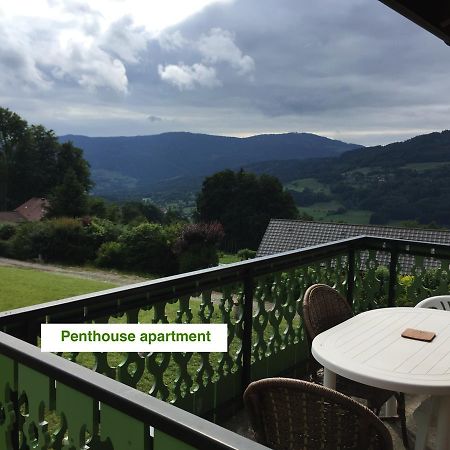 Le Green Chalet Villard-sur-Boege Exteriér fotografie