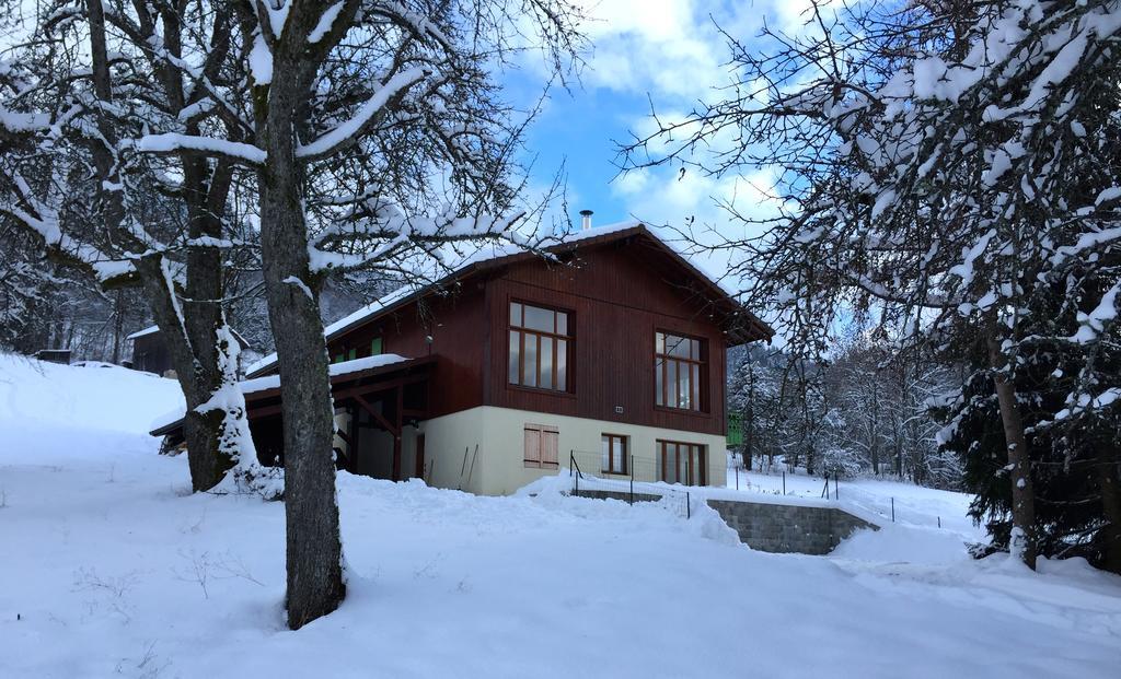 Le Green Chalet Villard-sur-Boege Exteriér fotografie