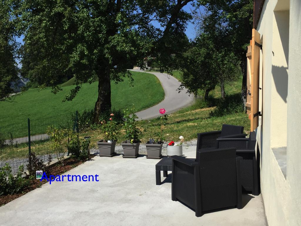 Le Green Chalet Villard-sur-Boege Exteriér fotografie