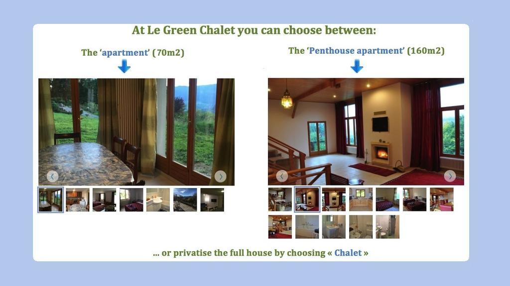 Le Green Chalet Villard-sur-Boege Exteriér fotografie