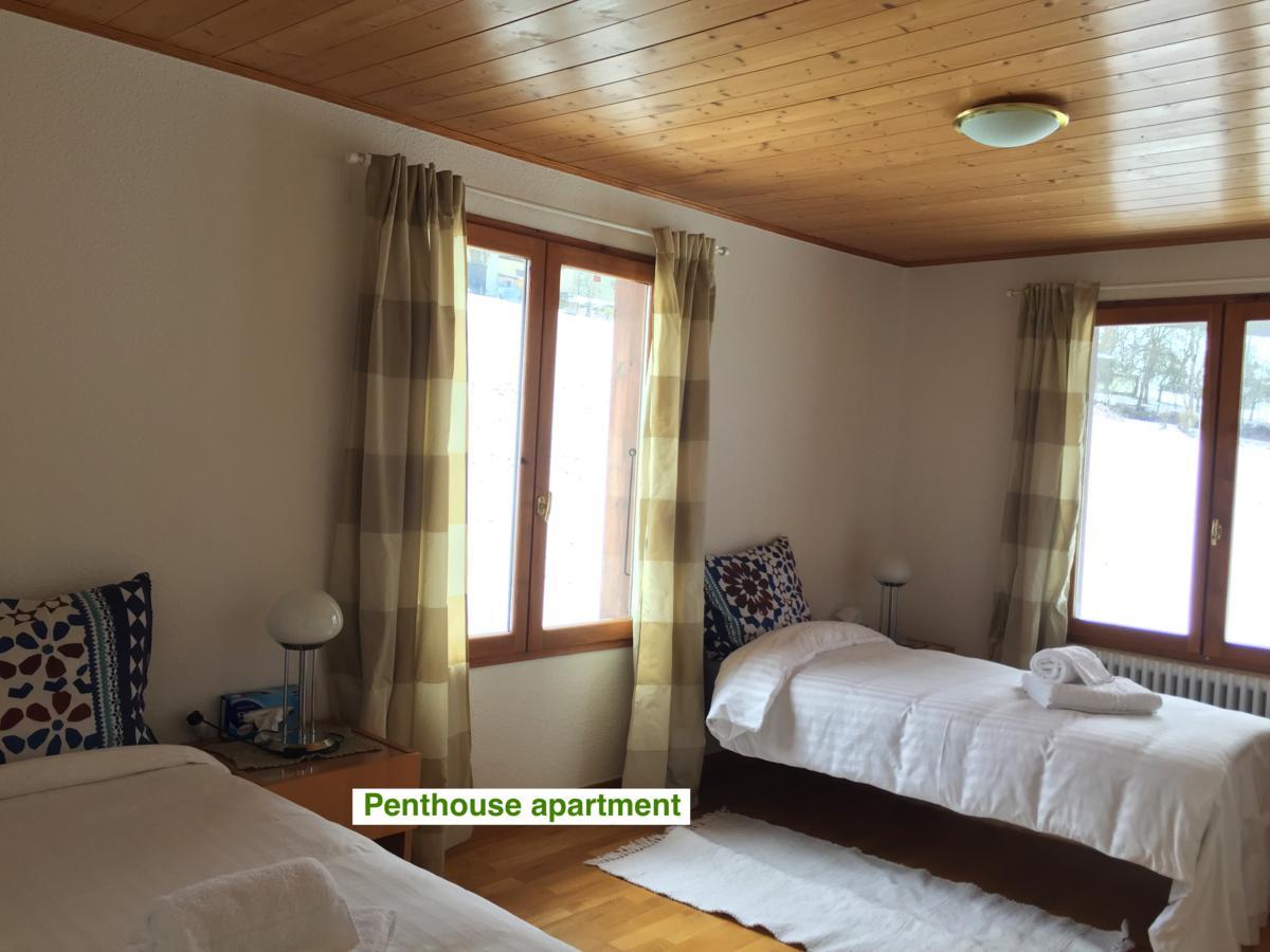 Le Green Chalet Villard-sur-Boege Exteriér fotografie