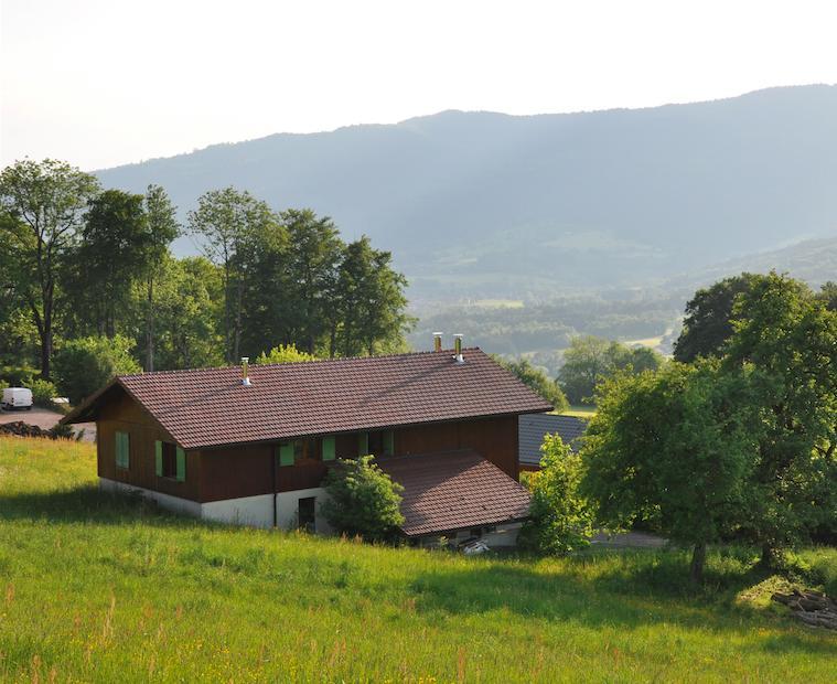 Le Green Chalet Villard-sur-Boege Exteriér fotografie