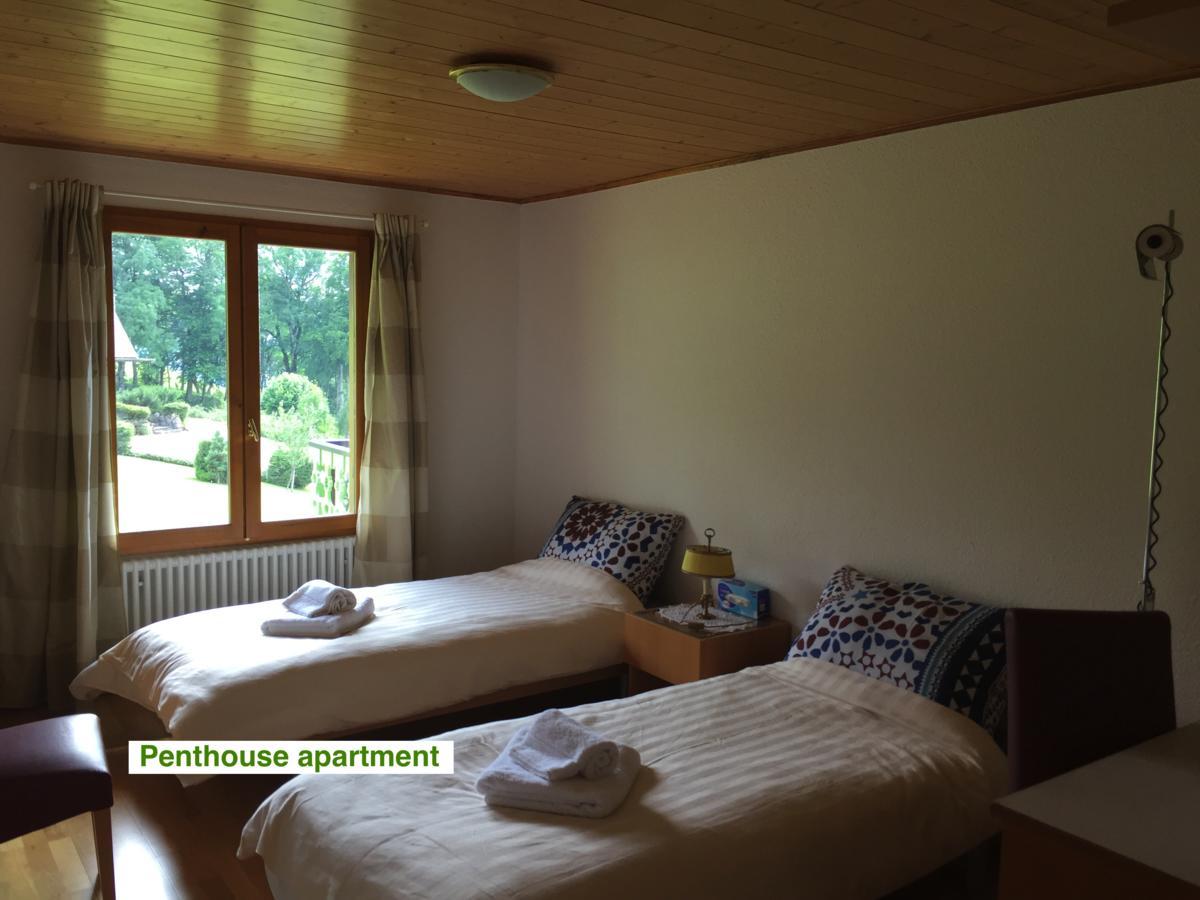 Le Green Chalet Villard-sur-Boege Exteriér fotografie